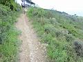 LIGURIAMTB13 (318)